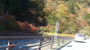 梅ヶ島に行ってきました！