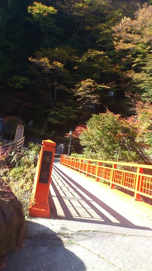 梅ヶ島に行ってきました！