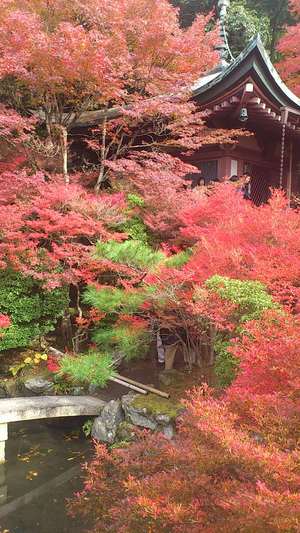 ＊京都＊