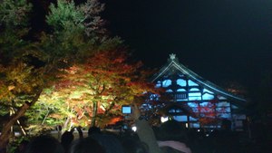 ＊京都＊