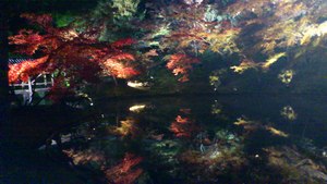 ＊京都＊