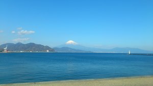 癒されました（*^_^*）