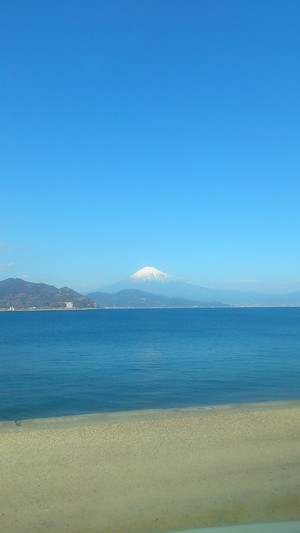 癒されました（*^_^*）