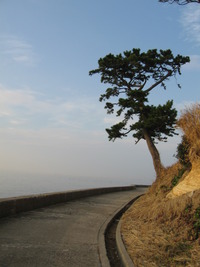 島散歩