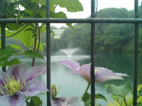 花フェスタ記念公園
