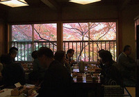 “紅葉の茶会”ご来園ありがとうございました。