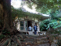 “紅葉の茶会”ご来園ありがとうございました。