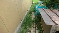朝からお仕事❗ 2017/08/14 08:33:03