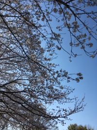 大事件！ 2019/04/05 22:05:00
