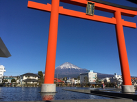 明けましておめでとうございます！ 2018/01/04 12:36:00