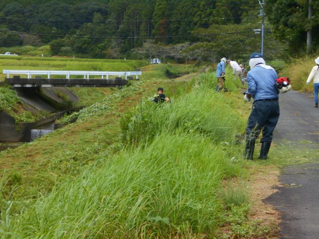 堤防の草刈り