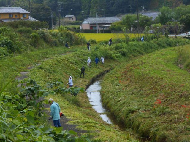 堤防の草刈り