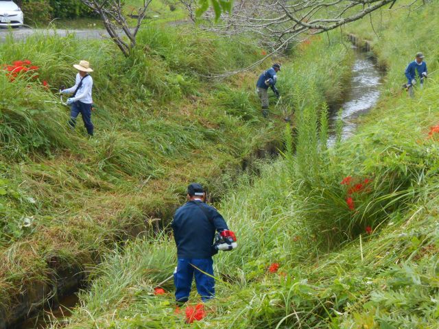 堤防の草刈り