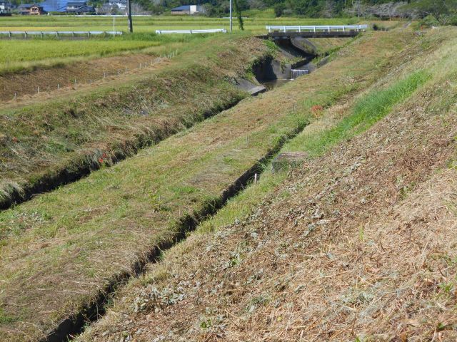 堤防の草刈り