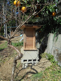 日本みつばち　来い来い