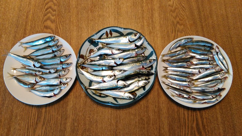 浜名湖小物道　のがした魚は大きかった。・・とても