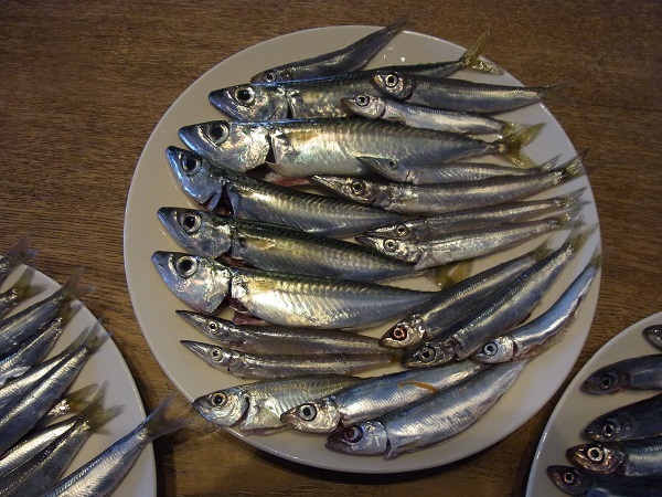 浜名湖小物道  最後にドラマは待っていた！