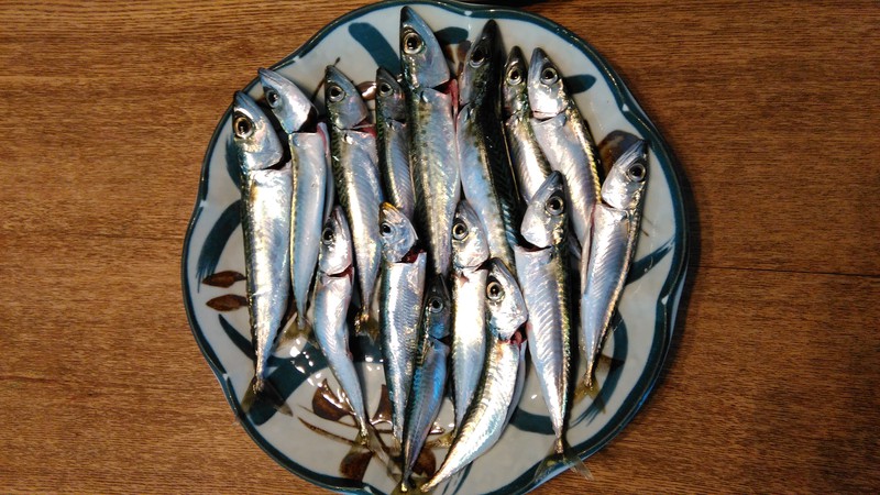 浜名湖小物道　のがした魚は大きかった。・・とても