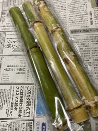 沖縄土産♪