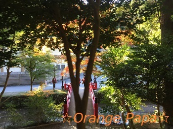 遠州森町小國神社の紅葉♪