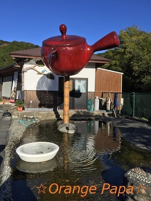 遠州森町小國神社の紅葉♪