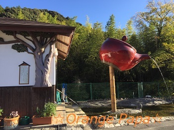 遠州森町小國神社の紅葉♪