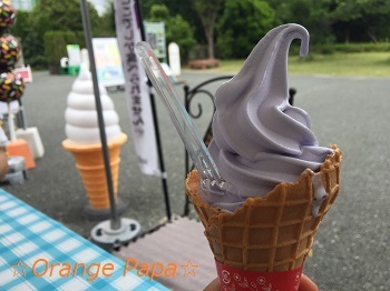 藤の花のソフトクリーム♪