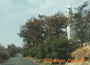 舞阪町方面へドライブ♪