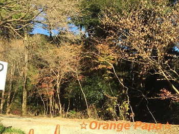 豊橋の普門寺にて♪