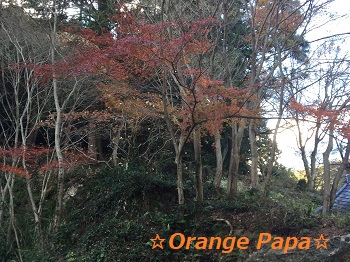 豊橋の普門寺にて♪