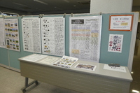 展示案内とお知らせ 2021/11/22 15:23:30