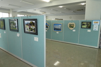 写真の展示 2024/09/15 11:30:10