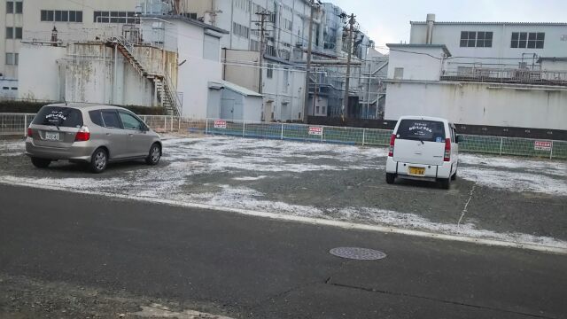 カーテン開けたら・・・雪！　でした。