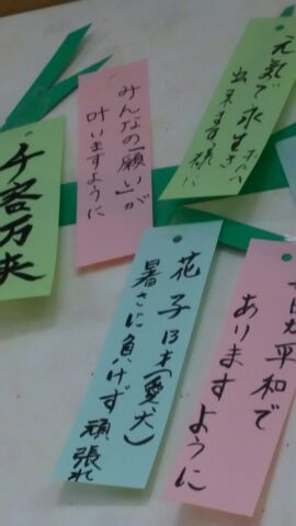 七夕の願い事