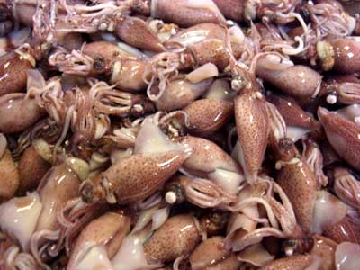 春の食材