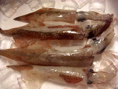 白魚