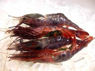 珍味ぐんかん巻き