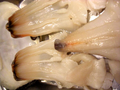 浜名湖のり入り玉子焼