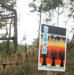 昨夜の防風林火災