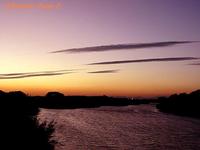 馬込川の夕日