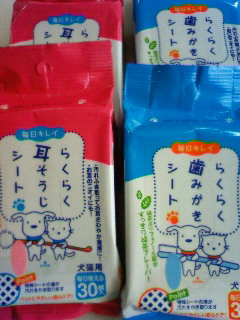 ワン天パピークラス♪グッズ入りました。