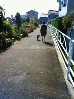 ワン天パピークラス♪きなこちゃんとココちゃん。
