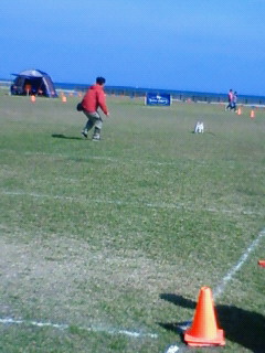 フリスビー大会♪ワン天ワンコ集合♪