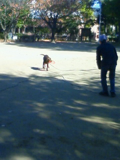 ココちゃんとフリスビー教室♪