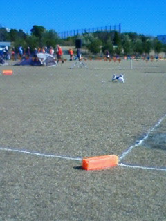 ワン天メンバーのフリスビー大会。