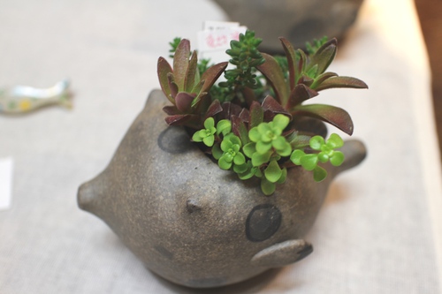 陶器とペーパーアートの作品展〝水族館〟 【花器】