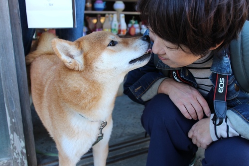 ぼく 看板犬 ～遠州横須賀ちっちゃな文化展～