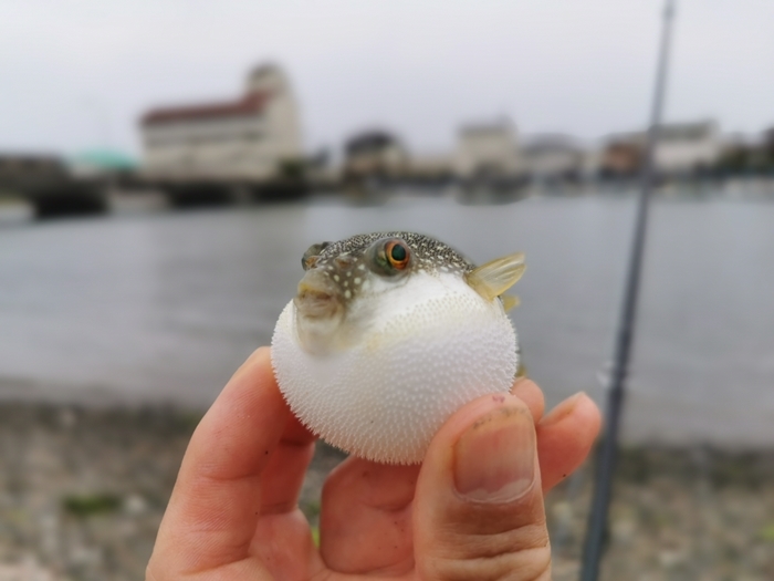 誰も居ない浜名湖