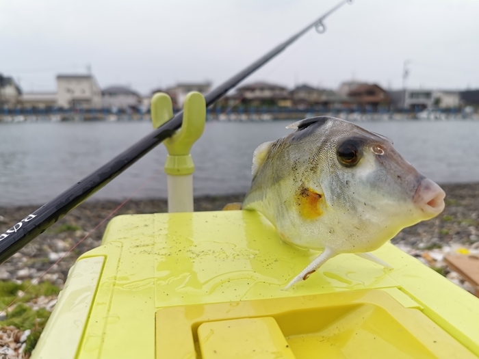 誰も居ない浜名湖
