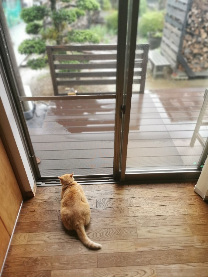 雨降りの週末